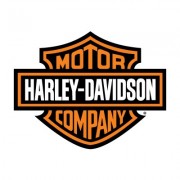 Saddlebags supports Harley Davidson motorcycle